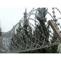 Hot Galvanized Razor Barbed Wire Fence (Bto-28)